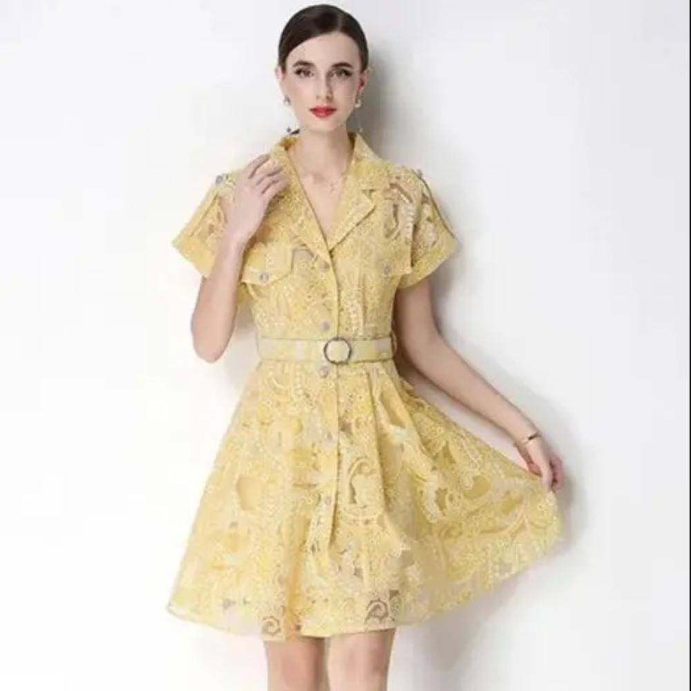 Elegant Lace Embroidery Hollow-out Mini Dress for Women Lapel High Waist A-Line Short Sleeve Single Belt Short Dress Summer