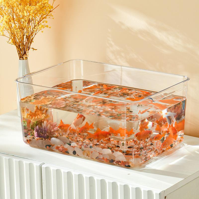 Acquario da scrivania in plastica trasparente extra large con coperchio per pesci Betta e tartarughe