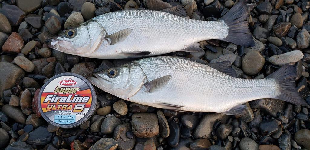 Berkley Super Fire Line Ultra 8 2.0/30lb 150m Crystal PE Line/Super Line/Sea Bass Line