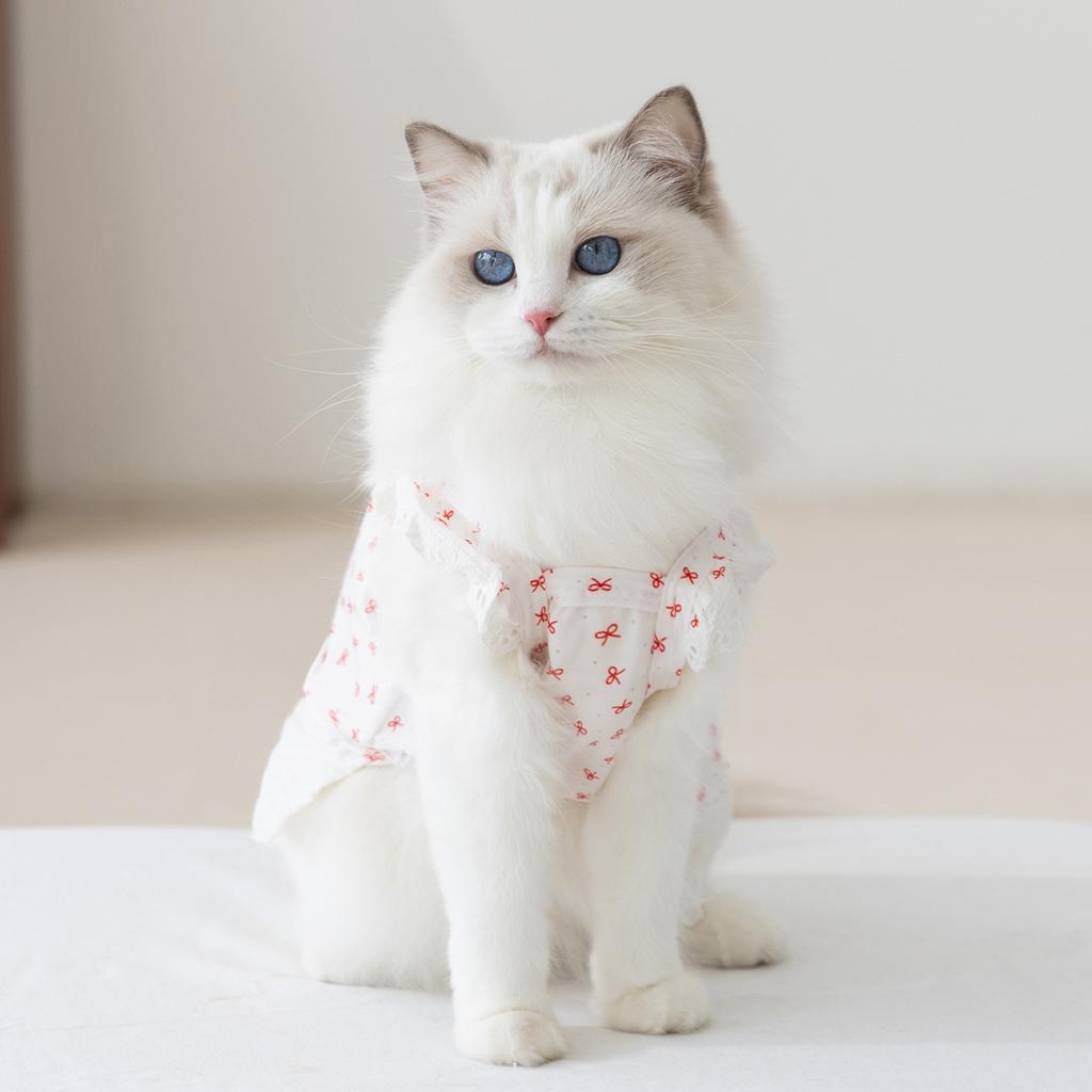 Pet summer lightweight halter dress with polka dots cat-themed pet clothing for dogs