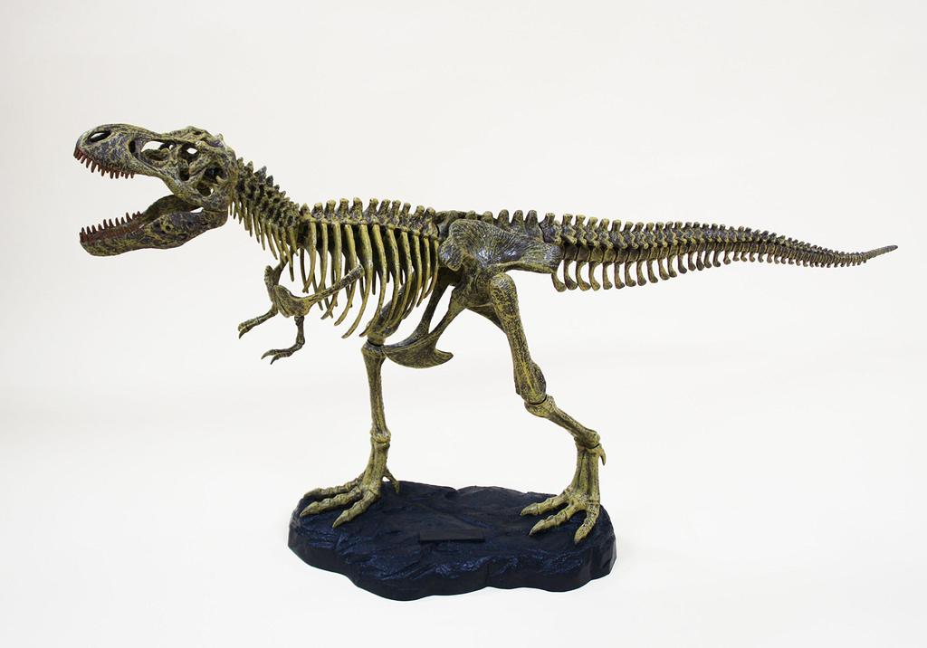 Skeleton Assembly Kit Tyrannosaurus Rex T-REX (medium)