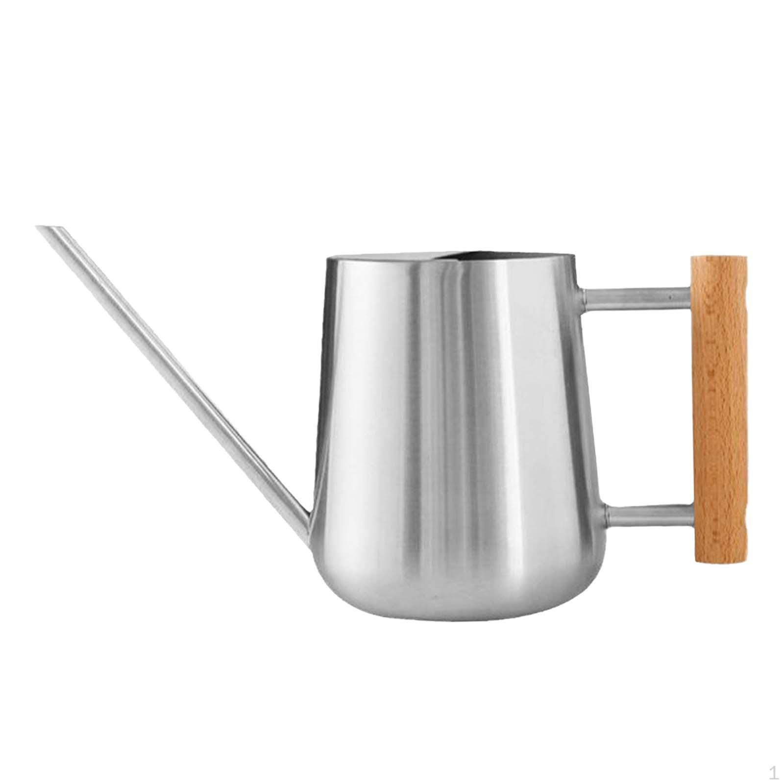 Elegant Stainless Steel Watering Can for Plants and Flowers серебряный