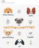 Embroidery Book “The Complete Collection of Dog & Cat Animal Embroidery A Keep-Forever Edition” (applemints)