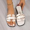 Fashion Luxury Women Slippers Buckle Design Small Incense Style Casual Wome's Flat Sandals External Wear Summer Sandy Beach Woman Slides