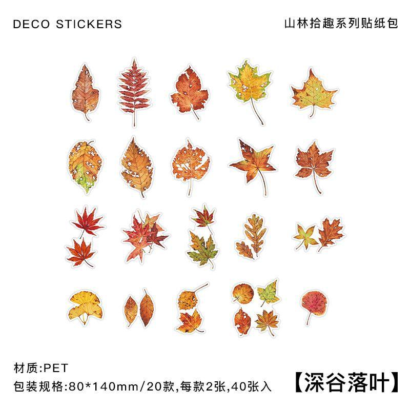 40 pieces Vintage plant PET decorative landscaping sticker Pack Adhesive diy sticker scrapbook material