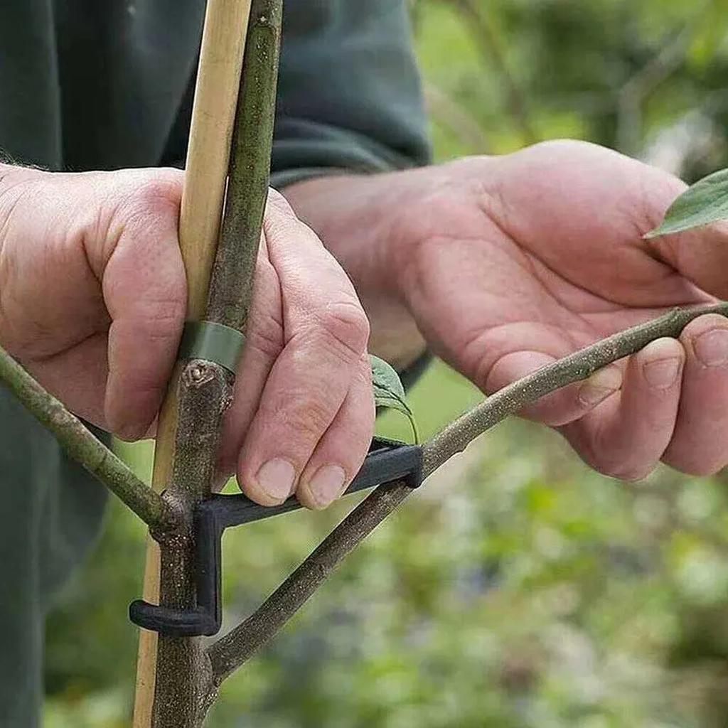 Branch Tree Spreader Fruit Limb Clips Spreaders Branches Tool Trees Trunk Bending Support Trainer Twig Gardening Fixing Bender