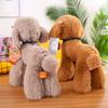 Cute Poodle Plush Toy Doll Doll Push Pillow Children Girl Gift Large Doll Doll Sleeping Pillow
