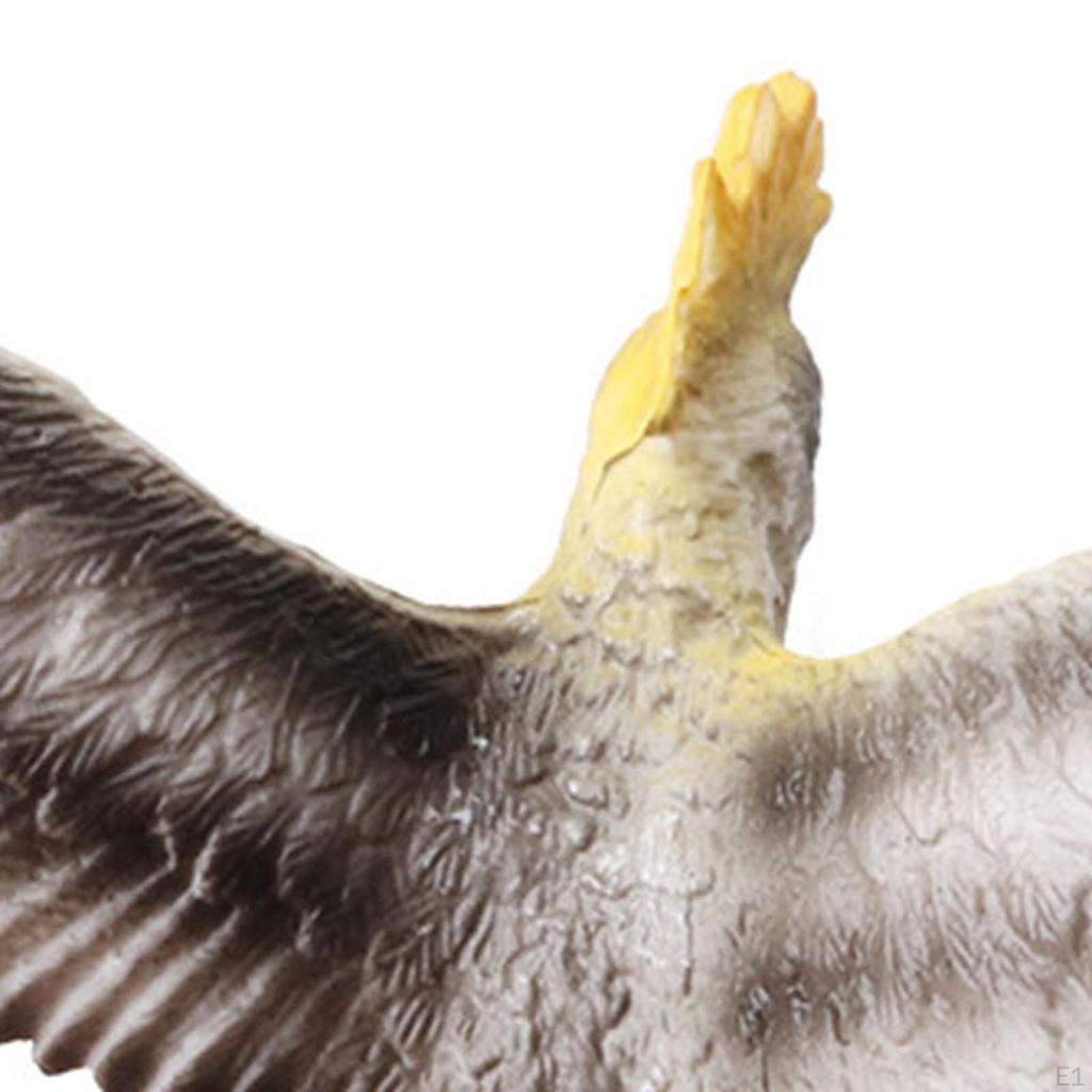 12Pcs Realistic Animal Model Solid Flying Bird Toy Miniature Figures Mini Birds Collection