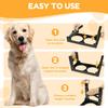 5 Height Adjustable Raised Dog Bowl Stand Metal Elevated Dog Bowl  with 2 Stainless Steel Bowls and 1 Slow Feeder Pet Supplies