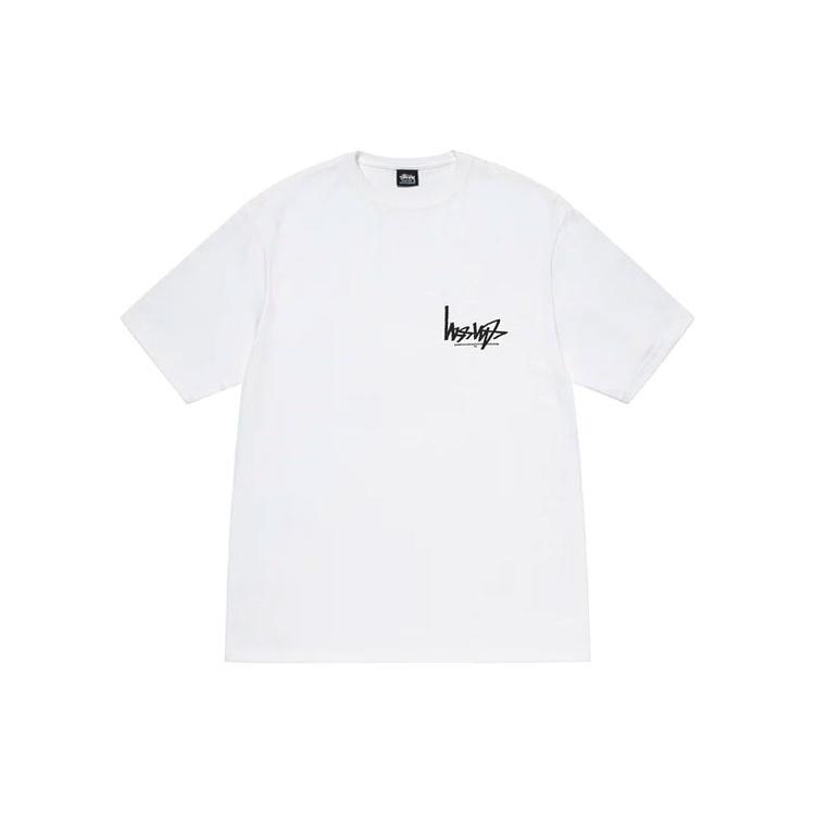 Stussy FW22 LogoT Unisex 1904895