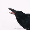 Black Crow Halloween Garden Ornament with Open Mouth for Ghost Festival Simulation