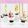 Potted Simulated Phalaenopsis Artificial Artificial Flower Ornament Desktop