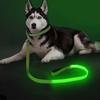 Adjustable LED Light Up Dog Leash Nylon Dog Glowing Walking Rope  Walking