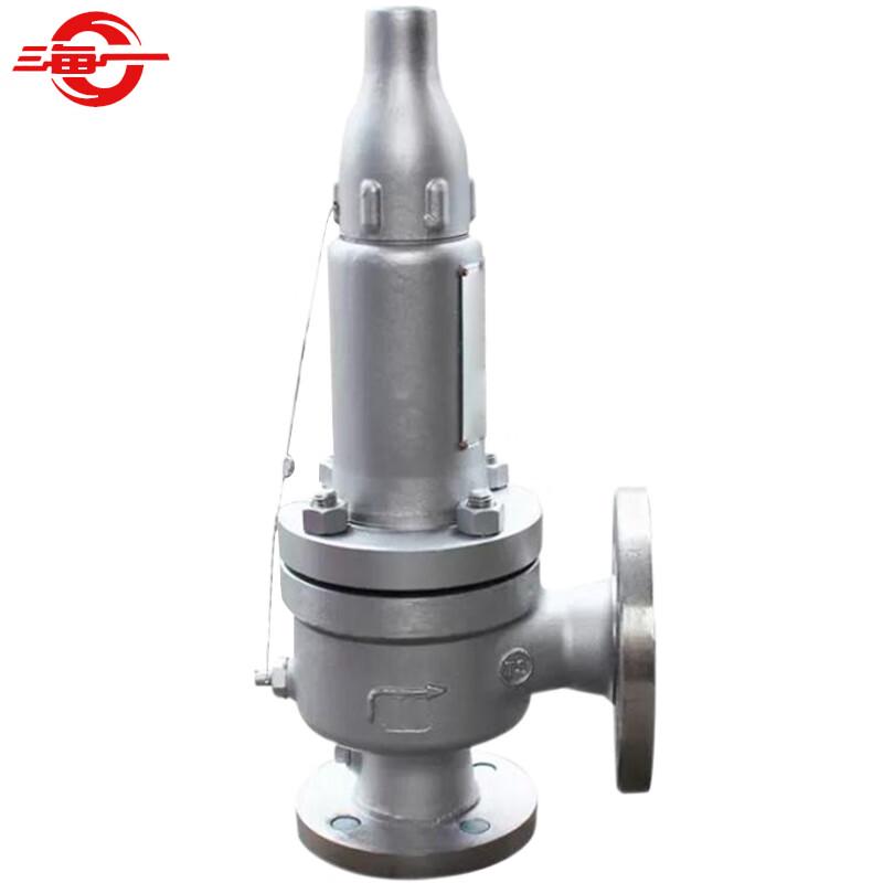 Haiyi 304 Stainless Steel Flanged Spring Safety Valve