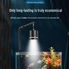 Peixes e animais aquáticos – Iluminação de aquário