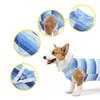Tuta di Recupero per Cani a Strisce Blu Tessuto Elastico Indumento Post-operatorio per Cani Piccoli Cura delle Lesioni degli Animali Domestici