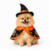Dog Cat Halloween Costume 2-piece Set Witch Hat Pumpkin Cape Pet Disguise Cloak Outfit Cats Small Dogs Medium Cute Cosplay (M Size) Parallel Import