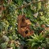 Wooden Bird's Nest Outdoor Hanging Bird Cage Feeder Outdoor Wild Bird Feeder Wooden Villa Bird House