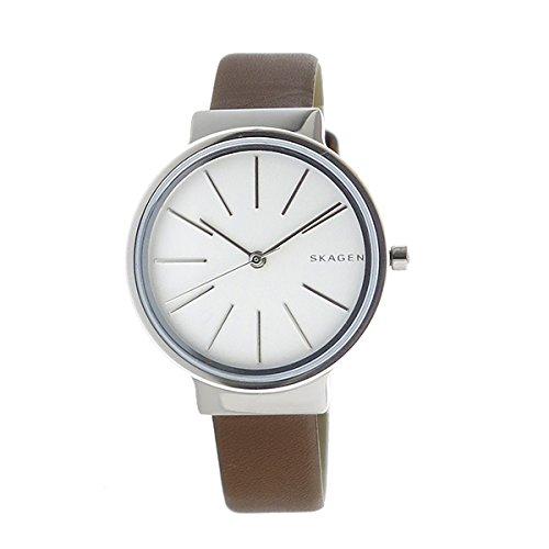 Skagen Women's Quartz Watch SKW2479 Silver [Parallel Import]