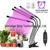 Full Spectrum Succulent Grow Light: Multi-Head LED Lamp for Enhanced Coloring and Preventing Etiolation In Indoor Plants