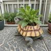 Ghiveci realist pentru suculente în formă de țestoasă cu gaură de scurgere. Rășină Durabilă, Design Vintage. Cadou Perfect pentru Iubitorii de Plante!