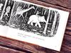 Forest Convention Children's Book