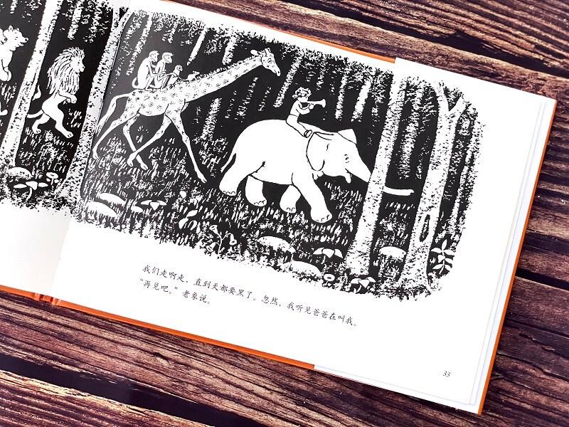 Forest Convention Children's Book