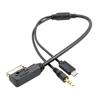 Cablecc Media In AMI MDI zu Stereo 3,5 mm Audio & USB-C AUX Adapterkabel