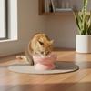 Schräge Katzenfutter-Schale Anti-Verschüttung Erhöhte Katzenfutter-Schale Keramik-Tiernapf Leicht zu Reinigen Erhöhte Langsamfresser-Schale Rutschfest
