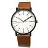 SKAGEN SKW Series Men's Wrist Watch SKW6374 SKW6086 Gift Casual Business Sports Student
