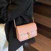 Модна маленька сумка Нова сумка через плече Сумка кросбоді Жіноча маленька квадратна сумка Повсякденна сумка