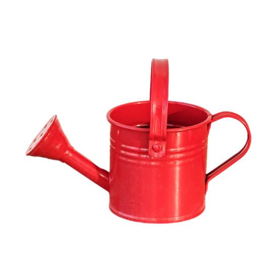 Metallgießkanne mit Brausekopf Langer Auslauf Gießkanne Kleine Gießkanne Indoor-Gartengerät für Zuhause Balkon Terrasse Büro Topfpflanzen