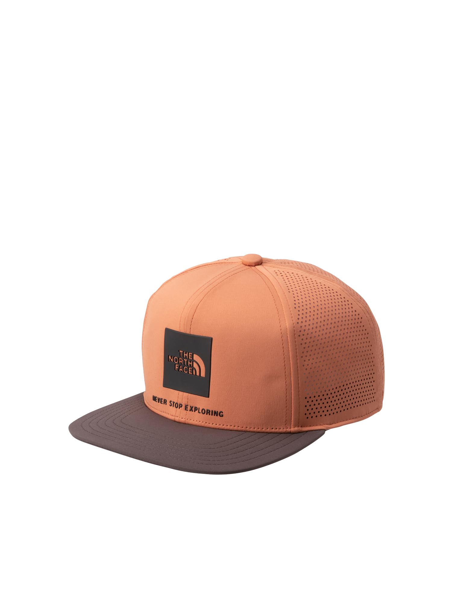 The North Face Tech Logo Fade Iron Free Size Cap, Unisex, Bronze/Smoky Brown,