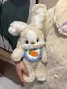 Adorable Rabbit and Puppy Sleep Companion Plush Toy – Free Shipping