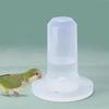 Transparent Automatic for Chicken Dove Parakeet Pigeon Food Box Parrot Water Dispenser Pigeon Feeder Bird Drinking Fountain