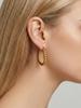 18k Gold-Plated Stainless Steel Geometric U-Shaped Earrings - Simple, Fashionable, Versatile 