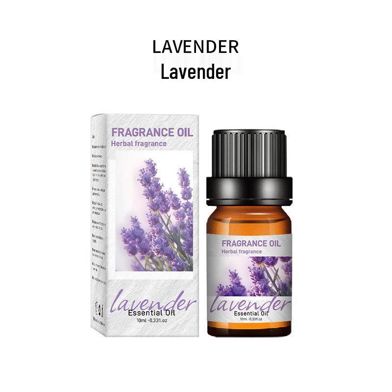10ML Stone Aroma Diffuser with Deodorizing, Long-Lasting Essential Oil Fragrance Refill