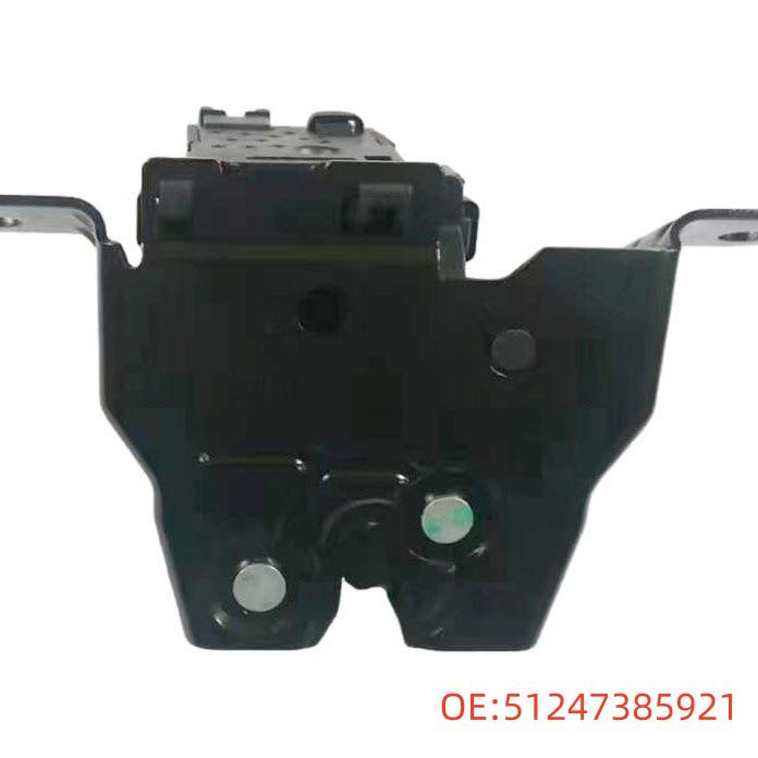 BMW Tailgate Lock Actuator Assembly - Central Locking Accessory 51247385921