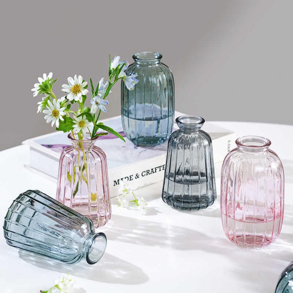 Decorative Flower Bottle Nordic Glass Vase Transparent Bud Vase Designed Hydroponic Plant Pot Living Room Decor Table Ornaments