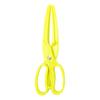 ABS Fish Grabber Pliers 5 Colors Fishing Gripper New Fish Clamp Controller  Fishing