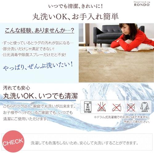 Tansu No Gen Rug, 3-tatami Size (200 X 250 Cm), In a Muted Color That Blends In with Any Room. Washable, Compatible with Heated Carpets. Stylish Nordi