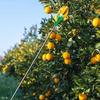 Instrument de cules fructe din copac cu trei gheare, telescopic, lungime reglabilă, de mână, Echipament de recoltare pentru pere