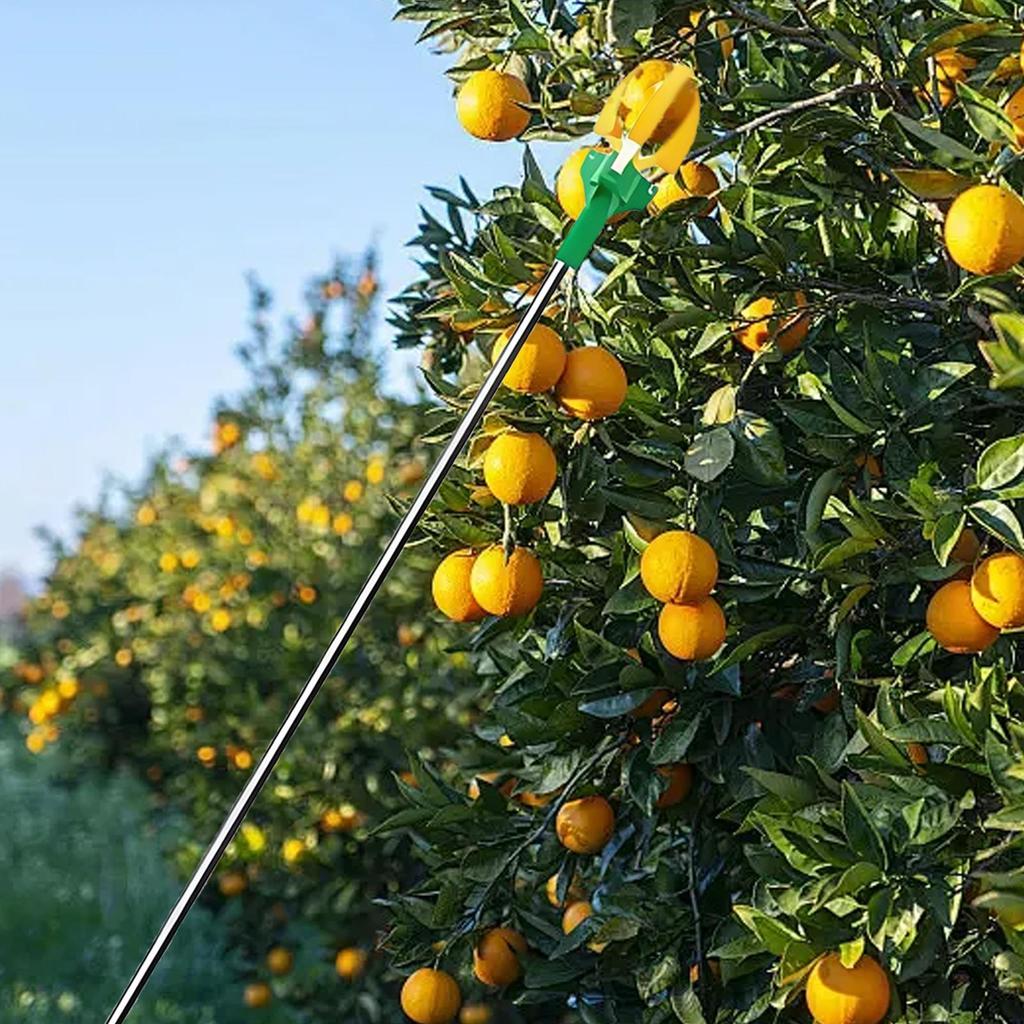 Instrument de cules fructe din copac cu trei gheare, telescopic, lungime reglabilă, de mână, Echipament de recoltare pentru pere
