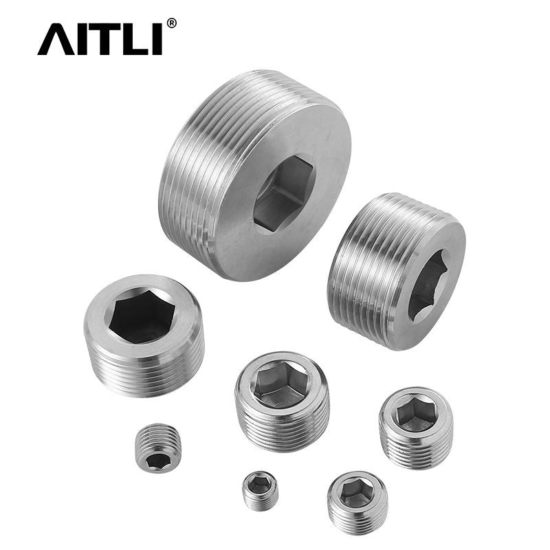 304/316 Stainless Steel Hex Socket Male Thread Oil/Water Pipe Plug