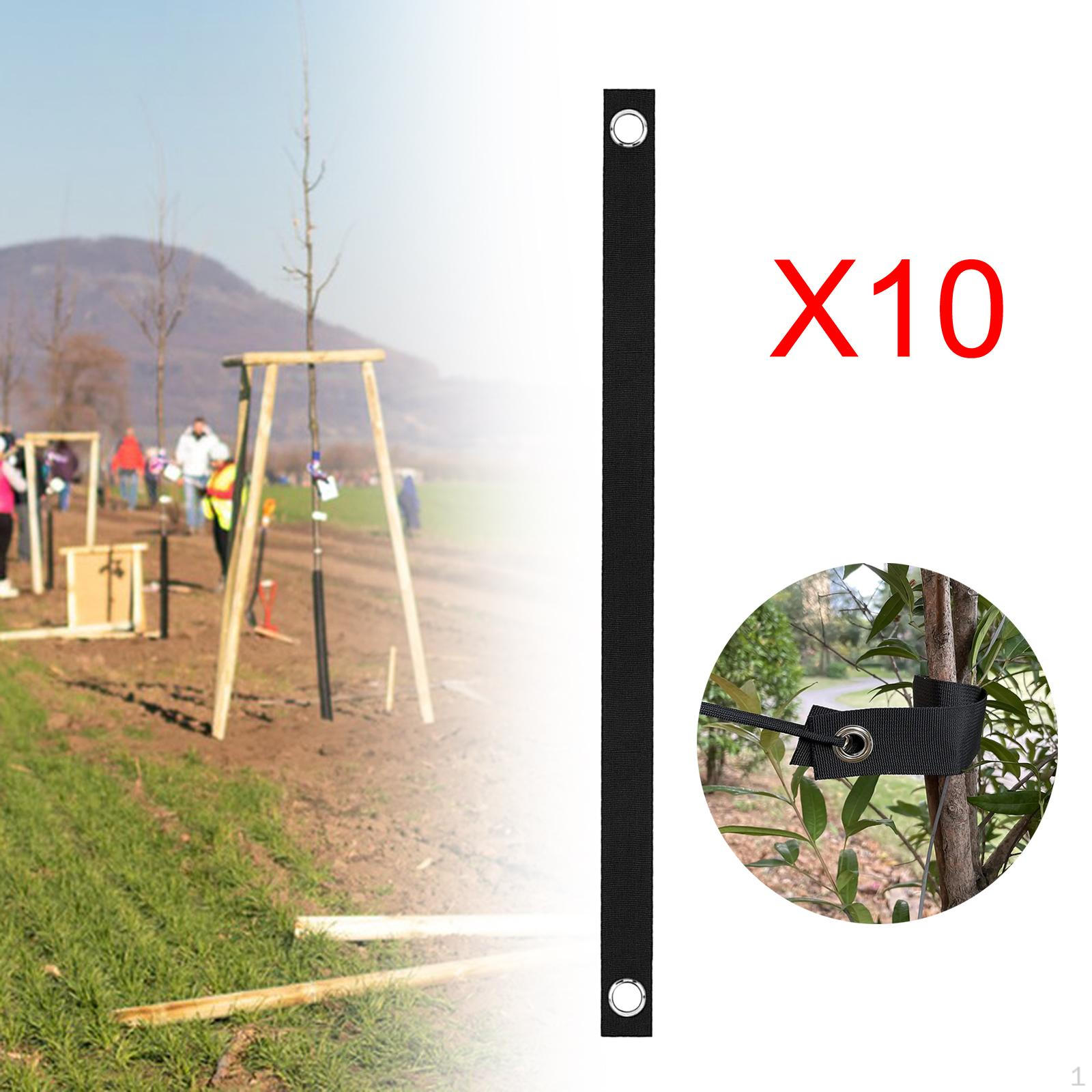

10 шт. ремней для выпрямления деревьев, поддерживающих недавно посаженные растения 3.8cmx80cm чёрный