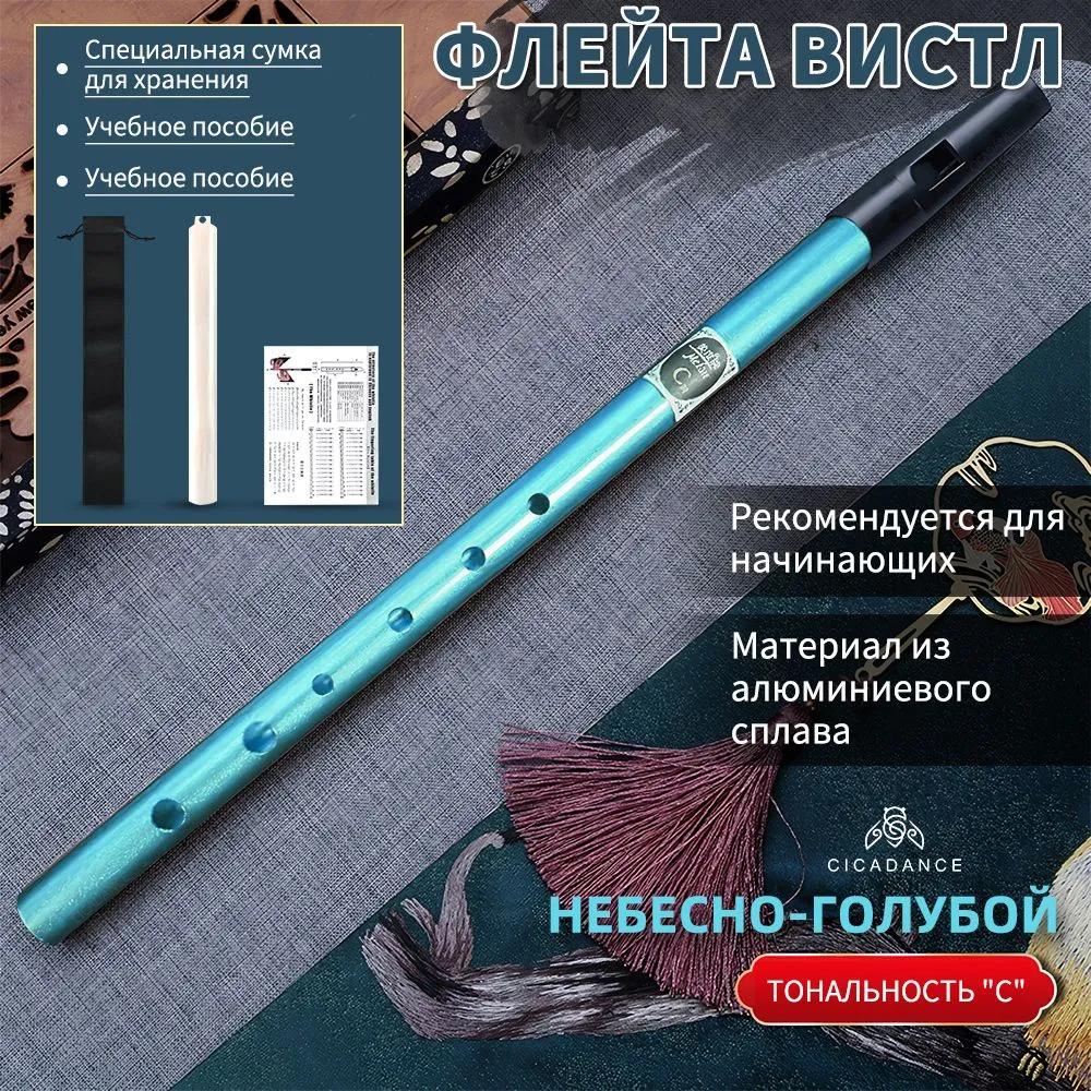 CICADANCE Píšťalka na flétnu, Černá, Tónina C, Nástroj se 6otvorovou flétnou, Kovový hudební nástroj