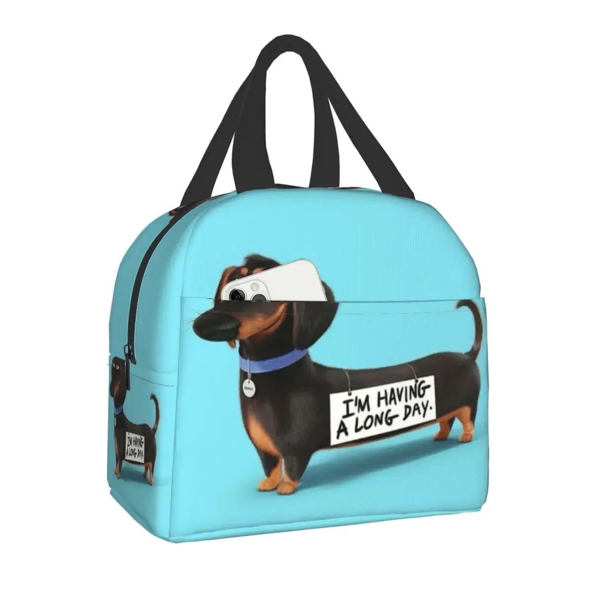 

Dachshund Thermal Insulated Lunch Bags Women Wiener Badger Sausage Dog Resuable Lunch Container for Outdoor Picnic Food Box 22x20x13CM бежевий