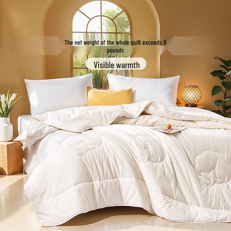 

Fuanna Winter Warm Pearl Fiber Quilt