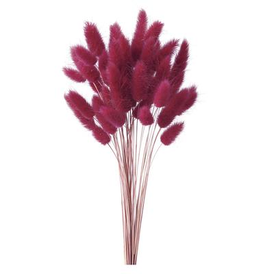 Daichi Farm Dried Flower Lagrass Wine Red (15g) DO42050-470