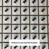 600Pcs/Bag Ear Acupuncture Massage Therapy Needle Patch Seeds Sticker Auricular Auriculotherapy Vaccaria